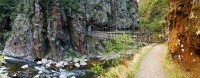 /album/fotogalerie-waikato/kanyon-karangahake-gorge-historic-walkway-jpg/